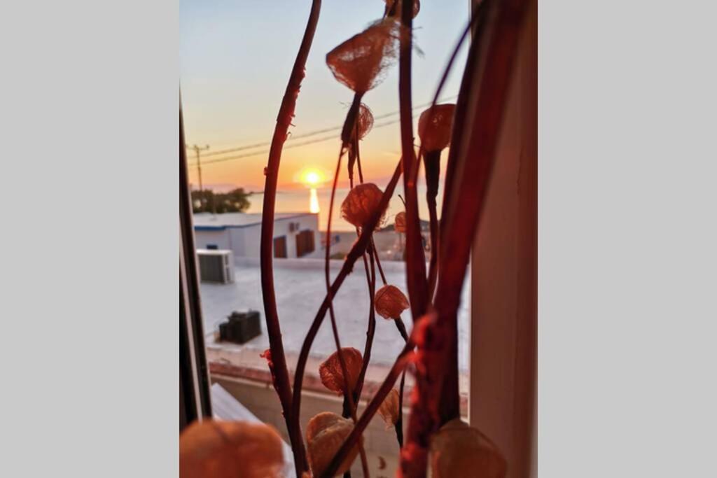 Mar Azul Σπίτι Δίπλα Στην Παραλία Και Στο Κέντρο! Apartment Elafonissos Exterior photo